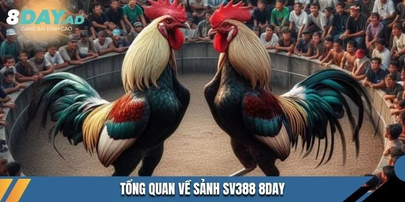 Tổng quan về sảnh SV388 8DAY